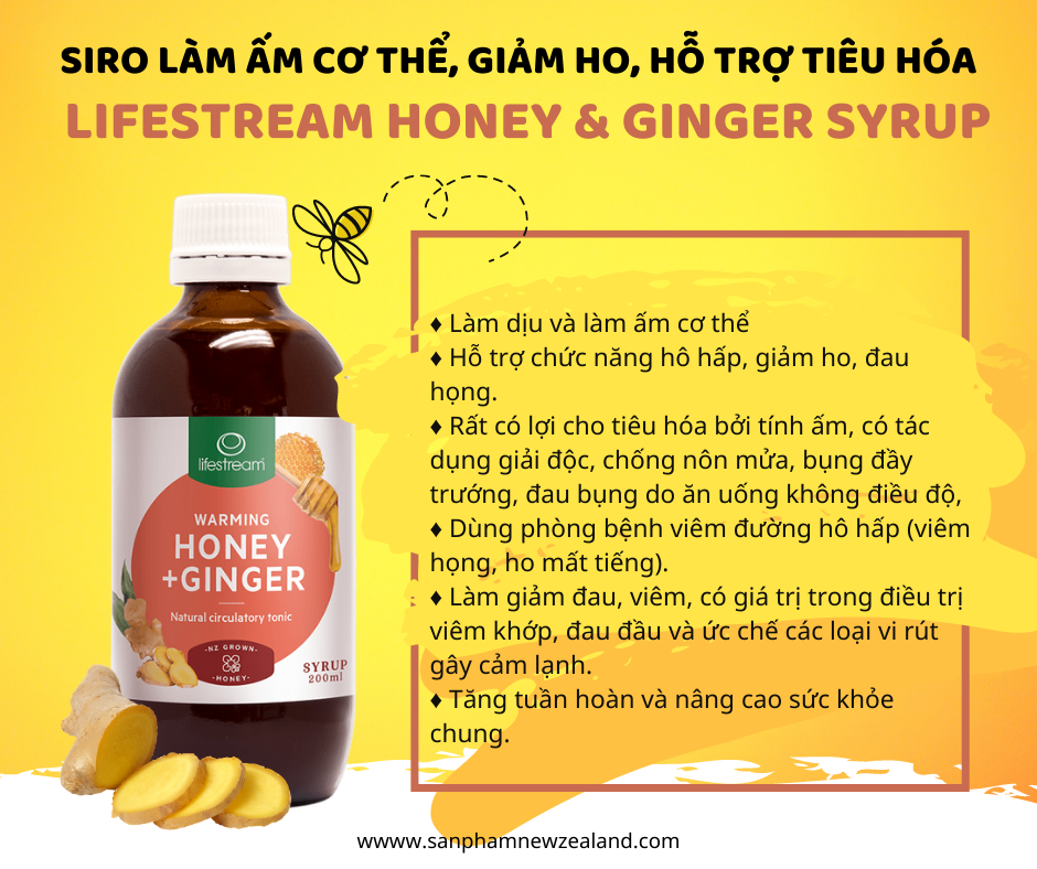 Lifestream Honey & Ginger Syrup